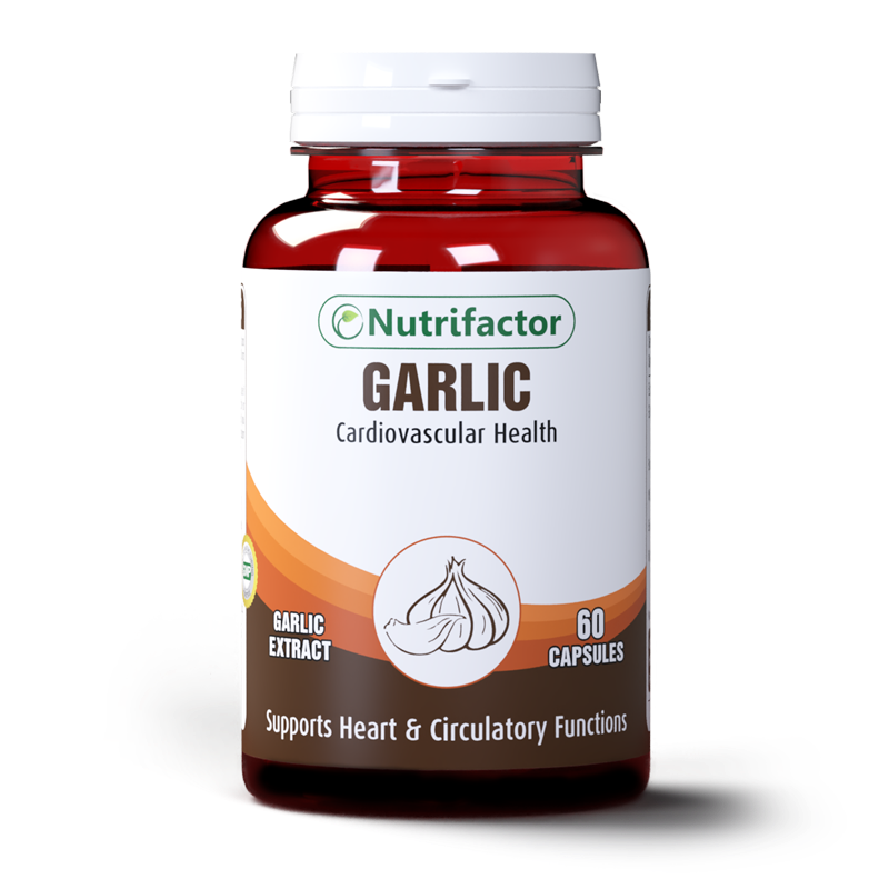 Garlic