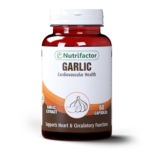 Garlic