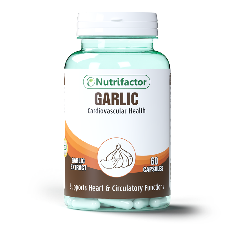 Garlic