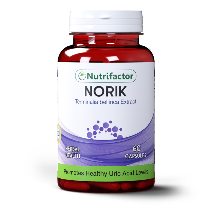 Norik