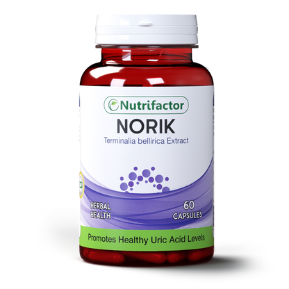 Norik