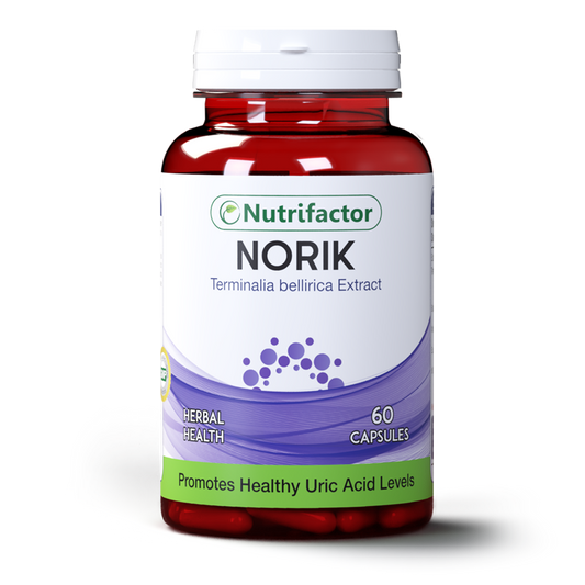 Norik